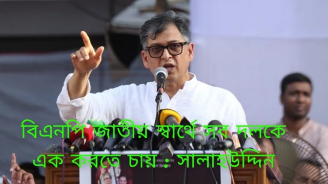 জাতীয় স্বার্থে সব দলকে এক করতে চায় বিএনপি: সালাহউদ্দিন