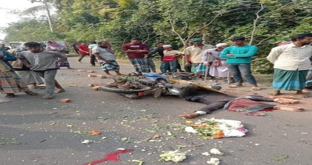 সড়ক দুর্ঘটনায় ভোলায় আপন দুই ভাইয়ের মৃত্যু