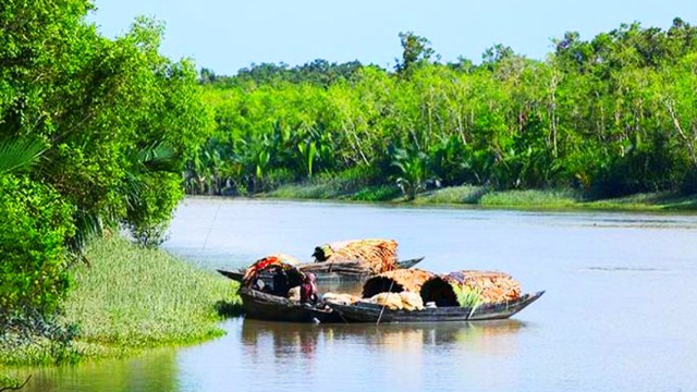 সুন্দরবনে সব সম্পদ আহরণের উপর ৩ মাসের নিষেধাজ্ঞা 