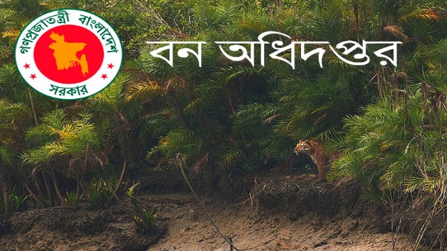 বন অধিদপ্তরের বাছাই পরীক্ষার ফল প্রকাশ