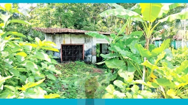 "ইসির পর্যবেক্ষক সংস্থার ঠিকানায় মিলল জঙ্গল, দোকান, বাড়ি”