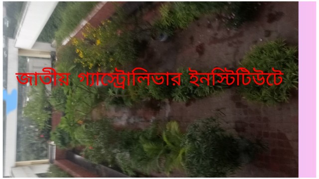 বাংলাদেশের চিকিৎসা ব্যবস্থা—এ যেন হয়রানির আরেক নাম