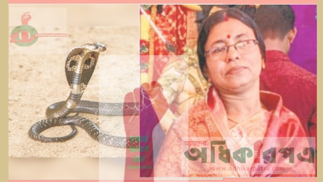 সীতাকুণ্ডে সাপের কামড়ে শিক্ষিকার মৃত্যু