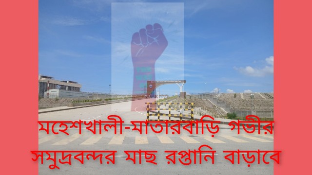 মহেশখালী-মাতারবাড়ি গভীর সমুদ্রবন্দর মাছ রপ্তানি বাড়াবে