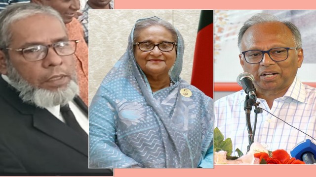 বিদ্বেষ থেকে শেখ হাসিনার বিরুদ্ধে সাক্ষ্য দিয়েছেন মাহমুদুর রহমান: রাষ্ট্রনিযুক্ত আইনজীবী